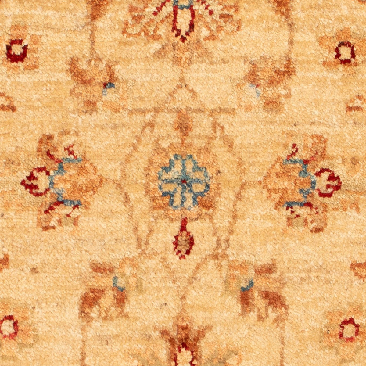 Tapis Ziegler - 70 x 51 cm - beige