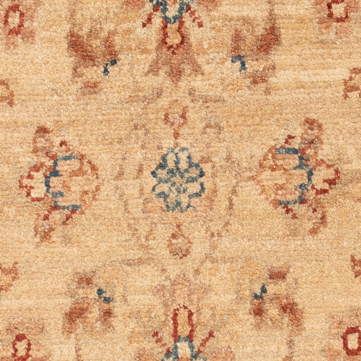 Tapis Ziegler - 70 x 50 cm - beige