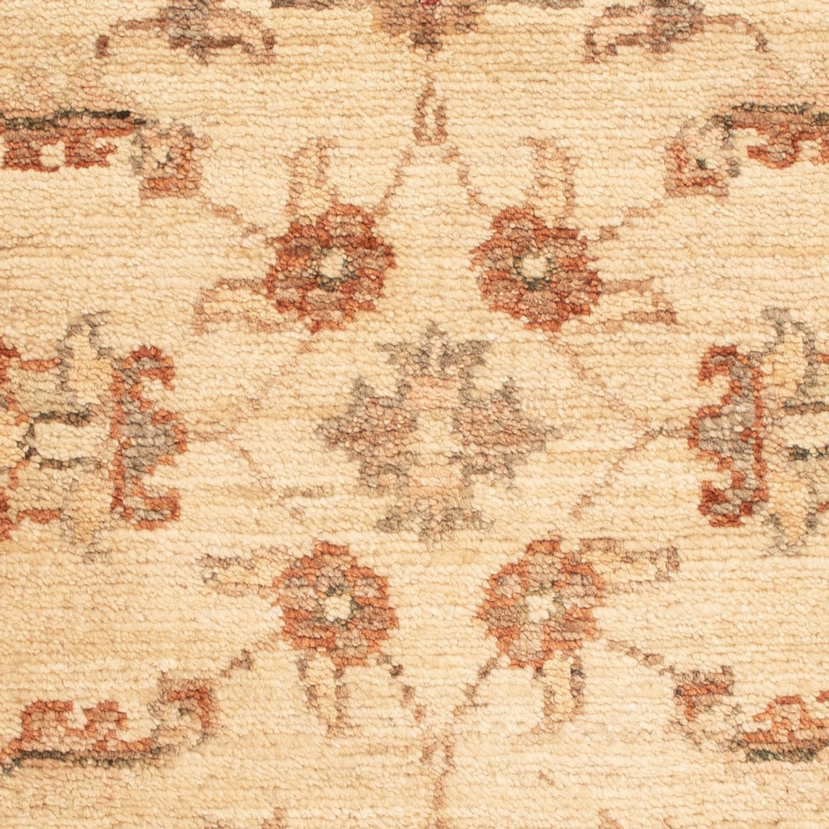 Tapis Ziegler - 65 x 50 cm - beige