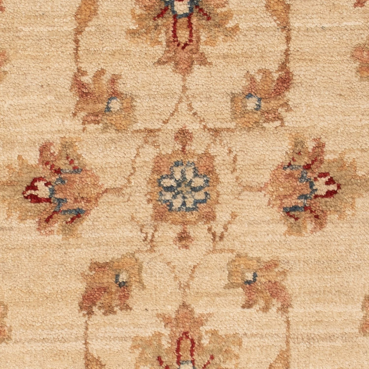 Tapis Ziegler - 67 x 50 cm - beige