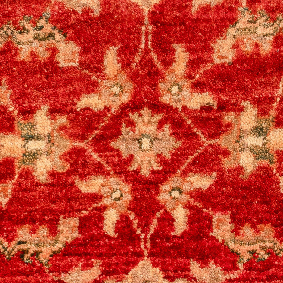 Tapis Ziegler - 70 x 53 cm - rouge