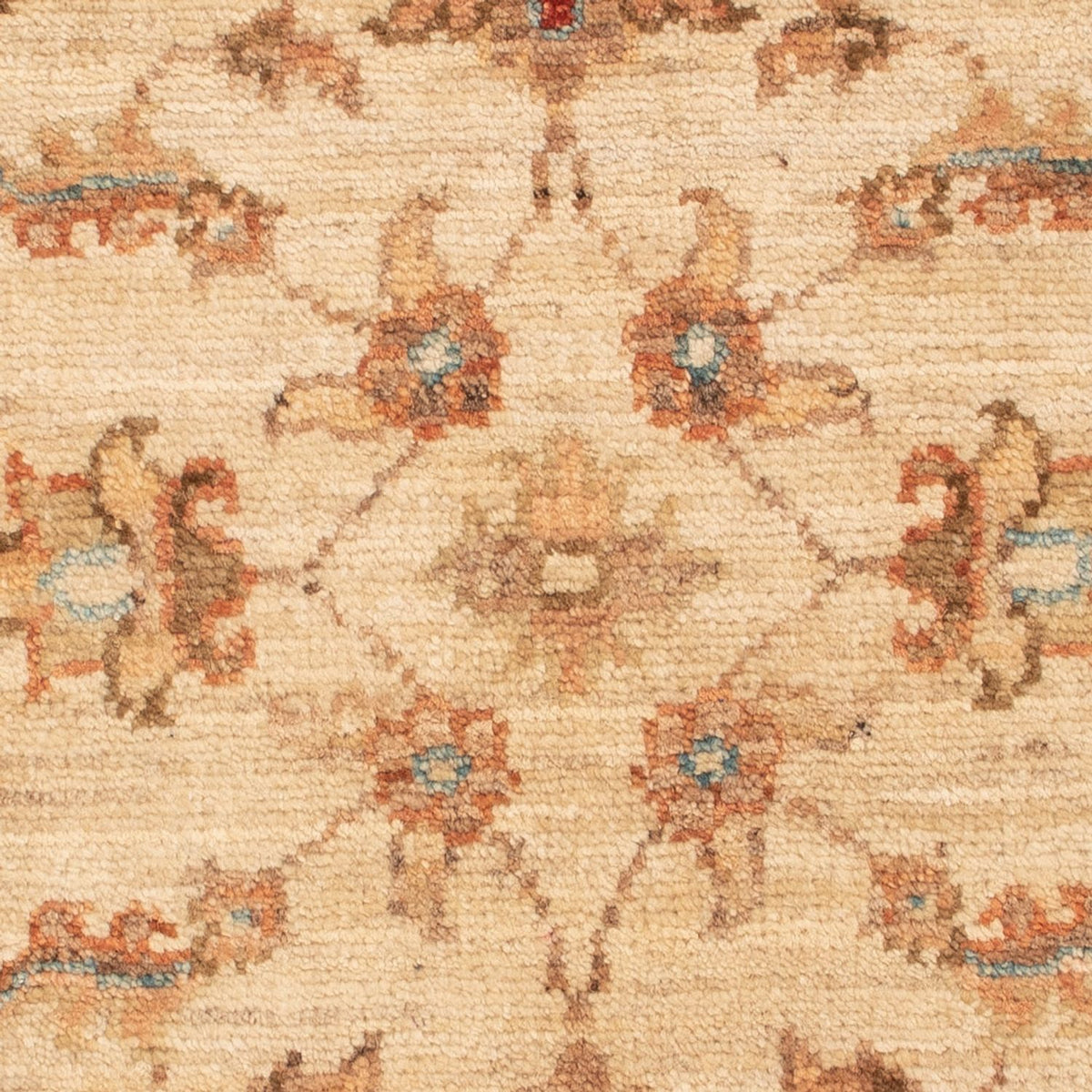 Tapis Ziegler - 70 x 50 cm - beige
