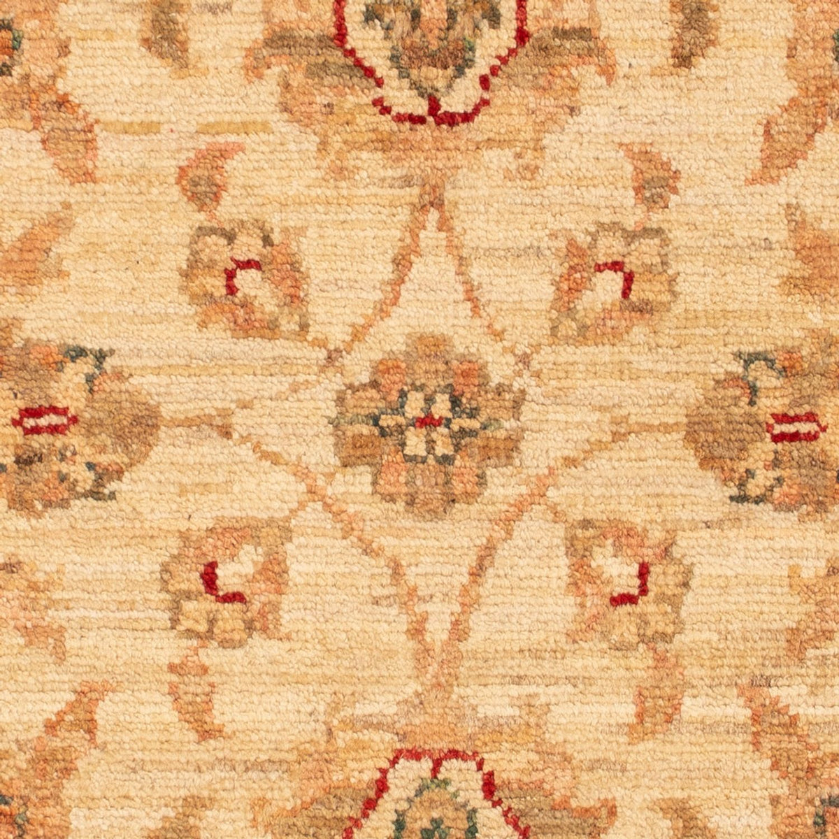 Tapis Ziegler - 70 x 51 cm - beige