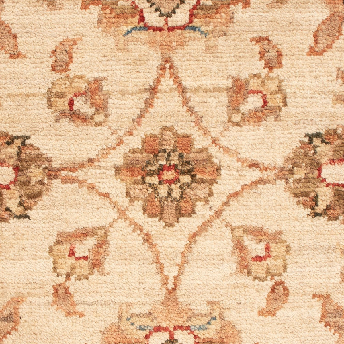 Tapis Ziegler - 66 x 51 cm - beige