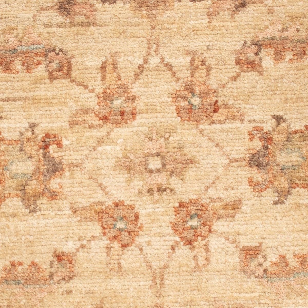 Tapis Ziegler - 72 x 54 cm - beige