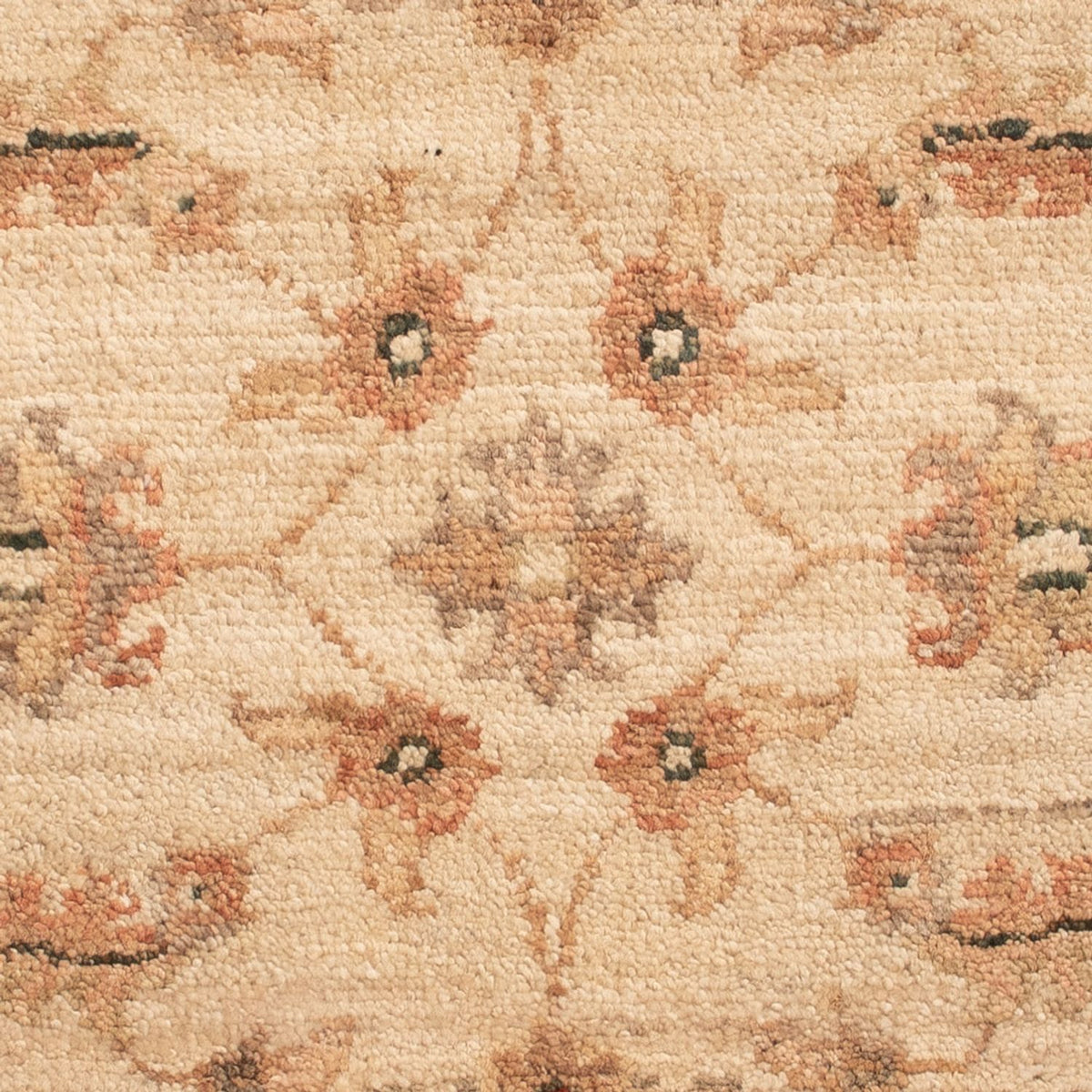 Tapis Ziegler - 63 x 51 cm - beige