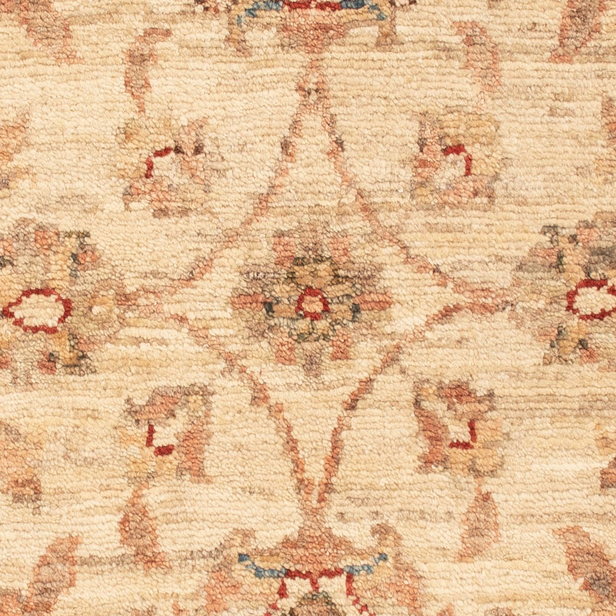 Tapis Ziegler - 73 x 53 cm - beige
