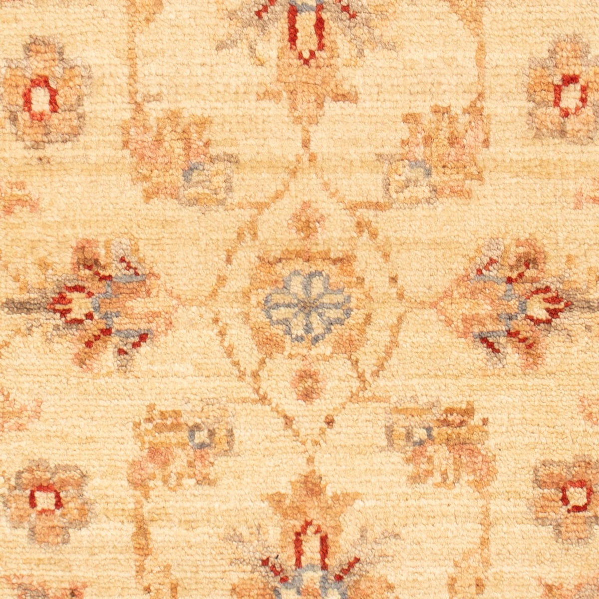 Tapis Ziegler - 70 x 53 cm - beige