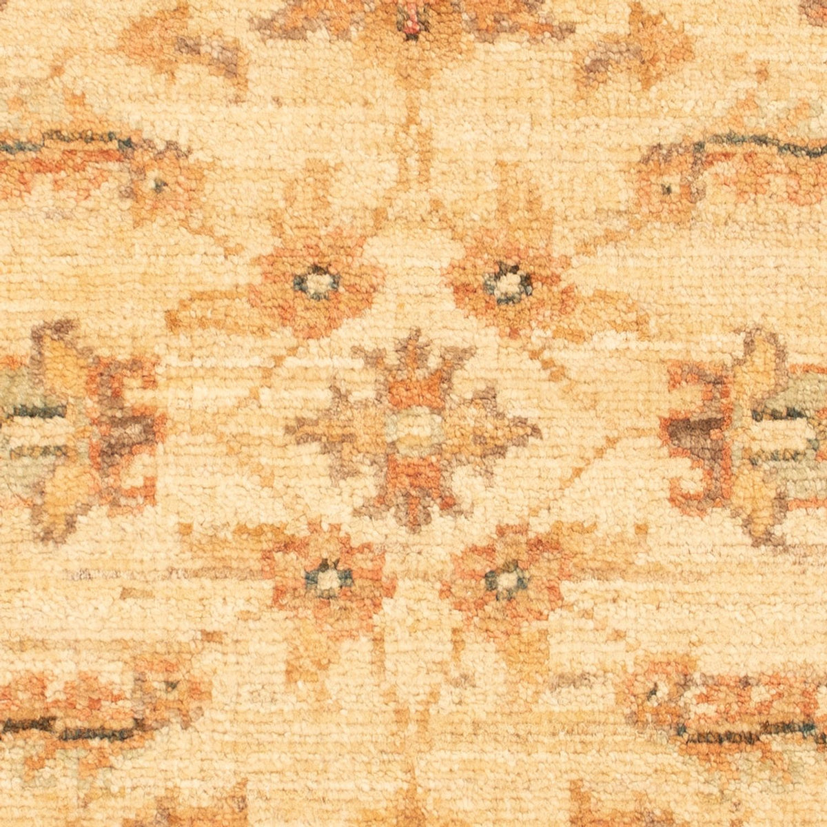 Tapis Ziegler - 66 x 51 cm - beige