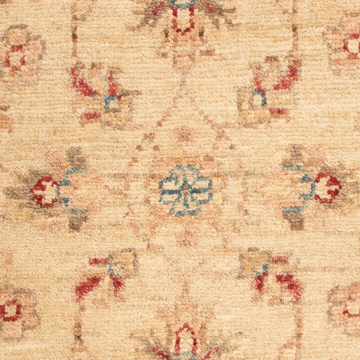 Tapis Ziegler - 70 x 52 cm - beige