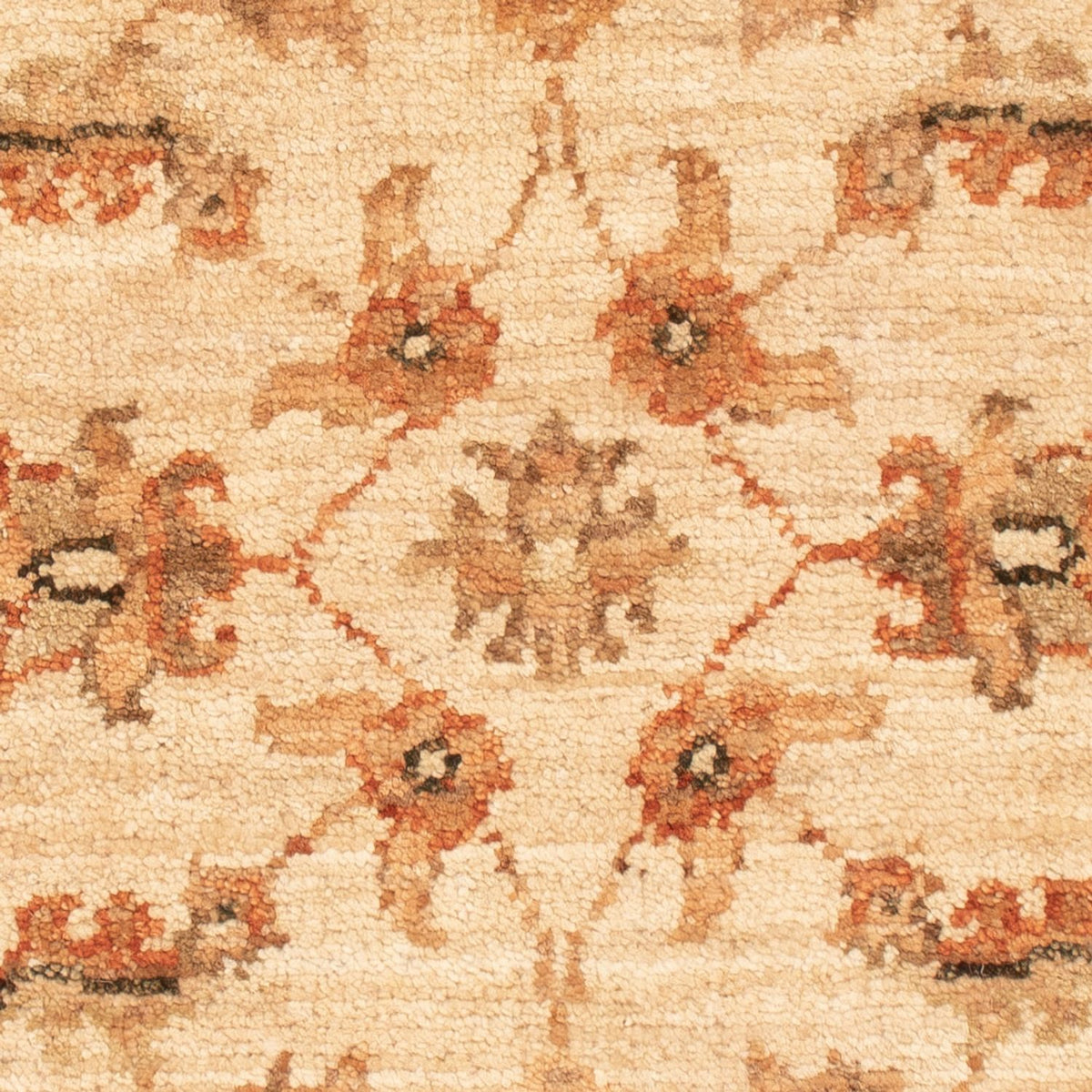 Tapis Ziegler - 71 x 50 cm - beige