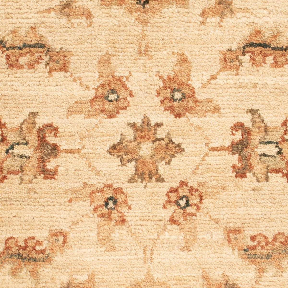 Tapis Ziegler - 71 x 51 cm - beige