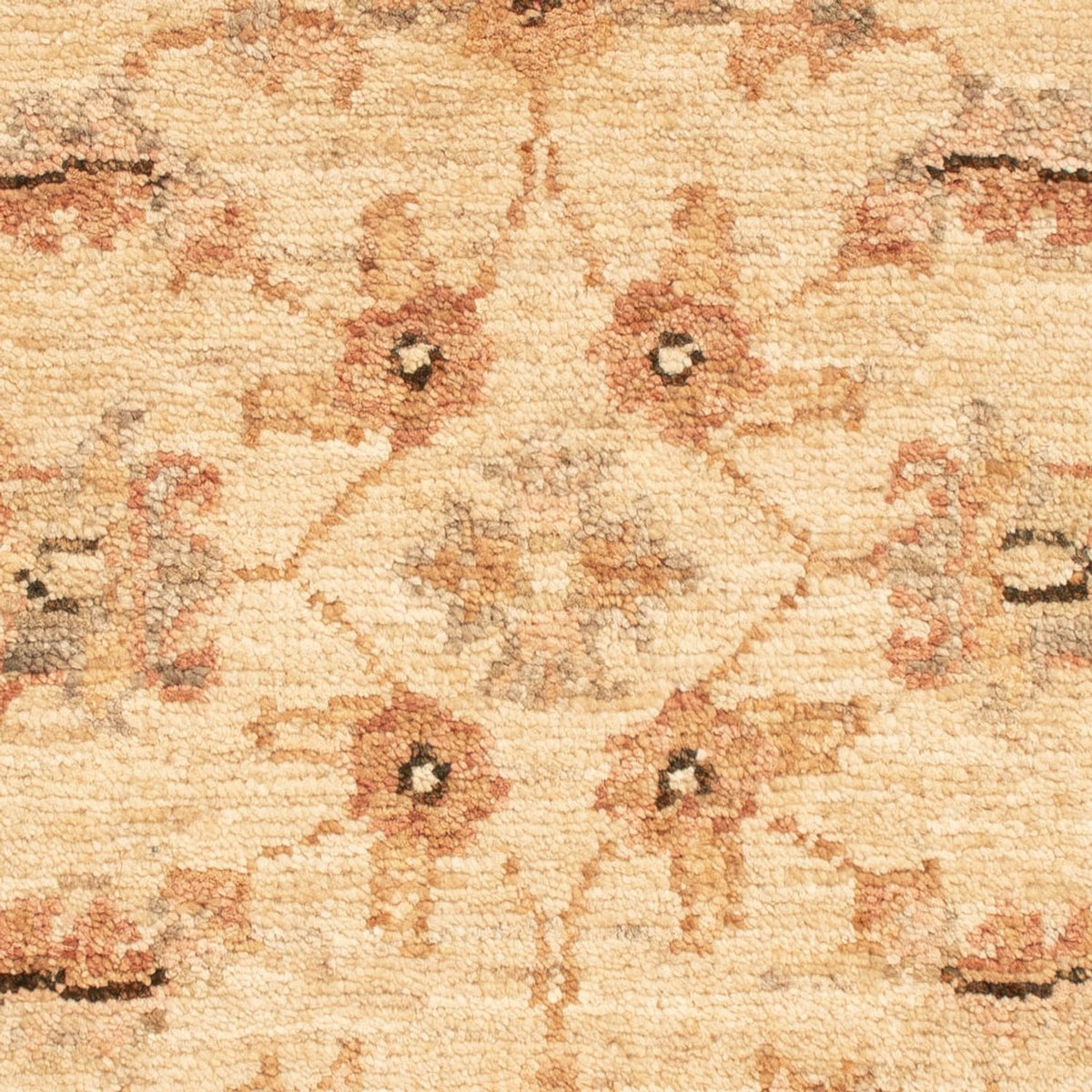 Tapis Ziegler - 66 x 51 cm - beige
