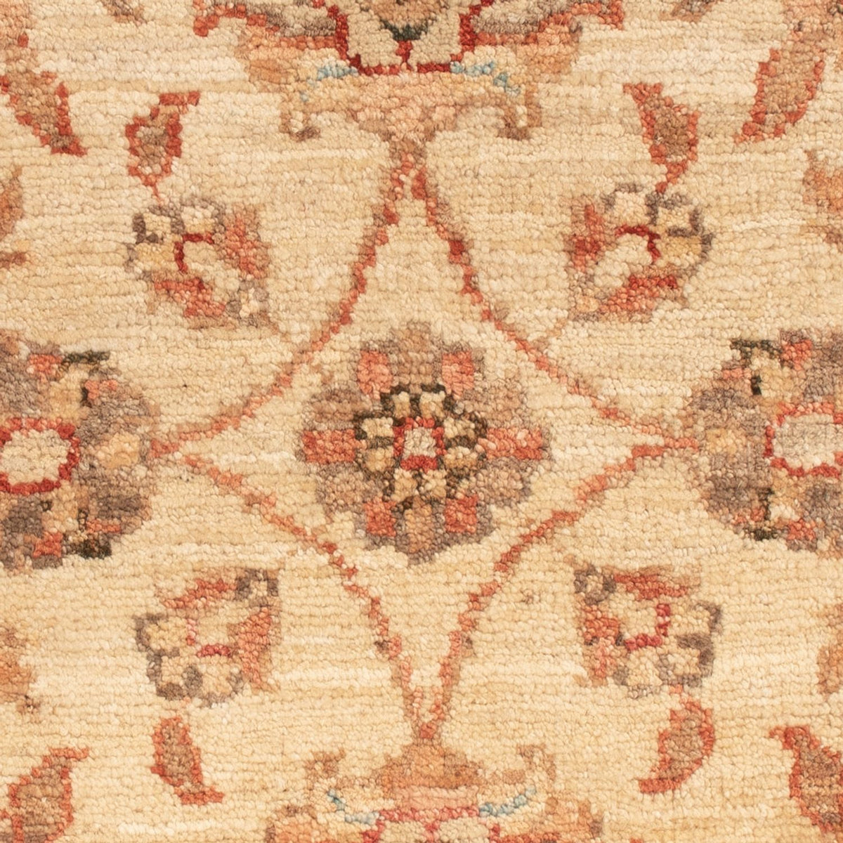 Tapis Ziegler - 69 x 52 cm - beige
