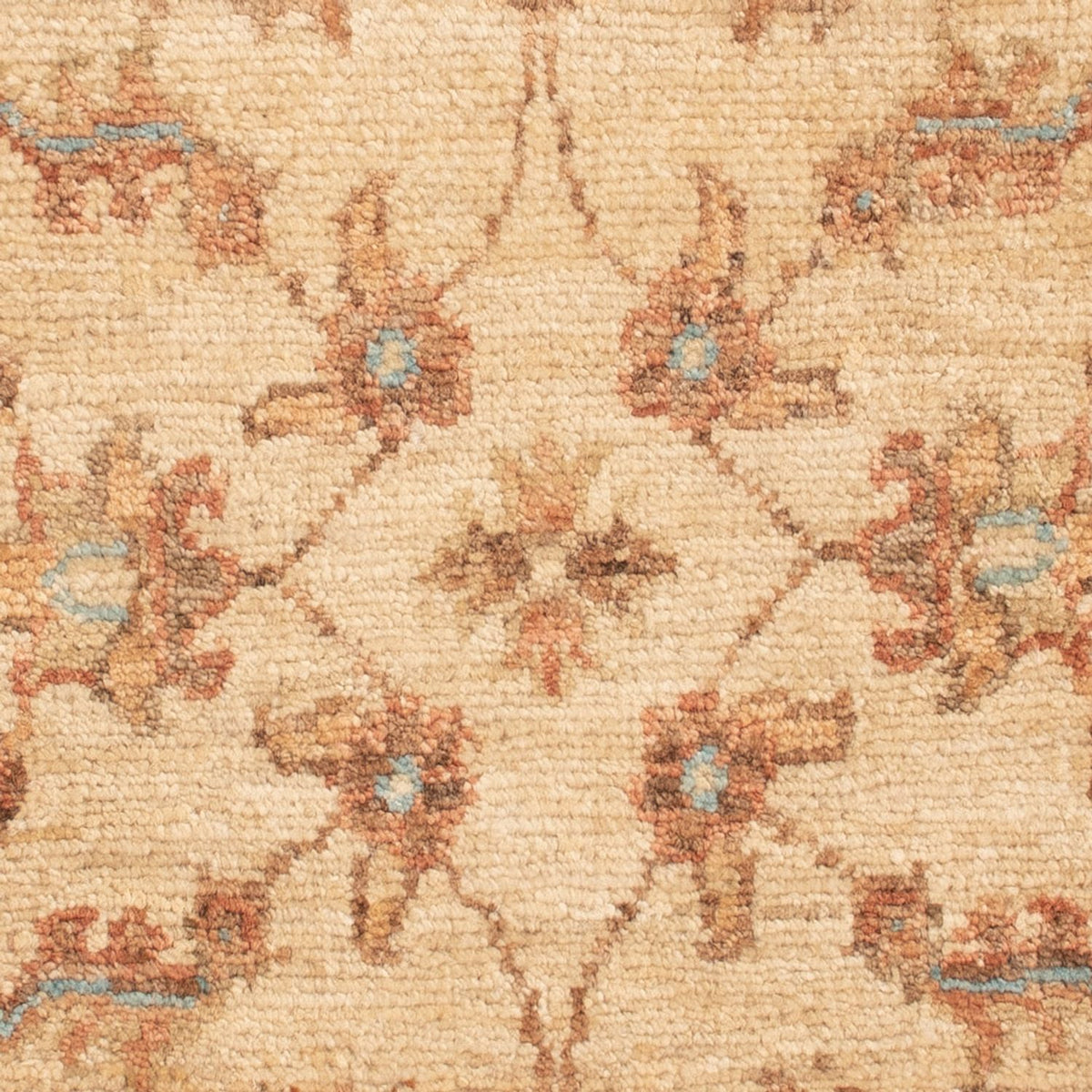 Tapis Ziegler - 70 x 50 cm - beige