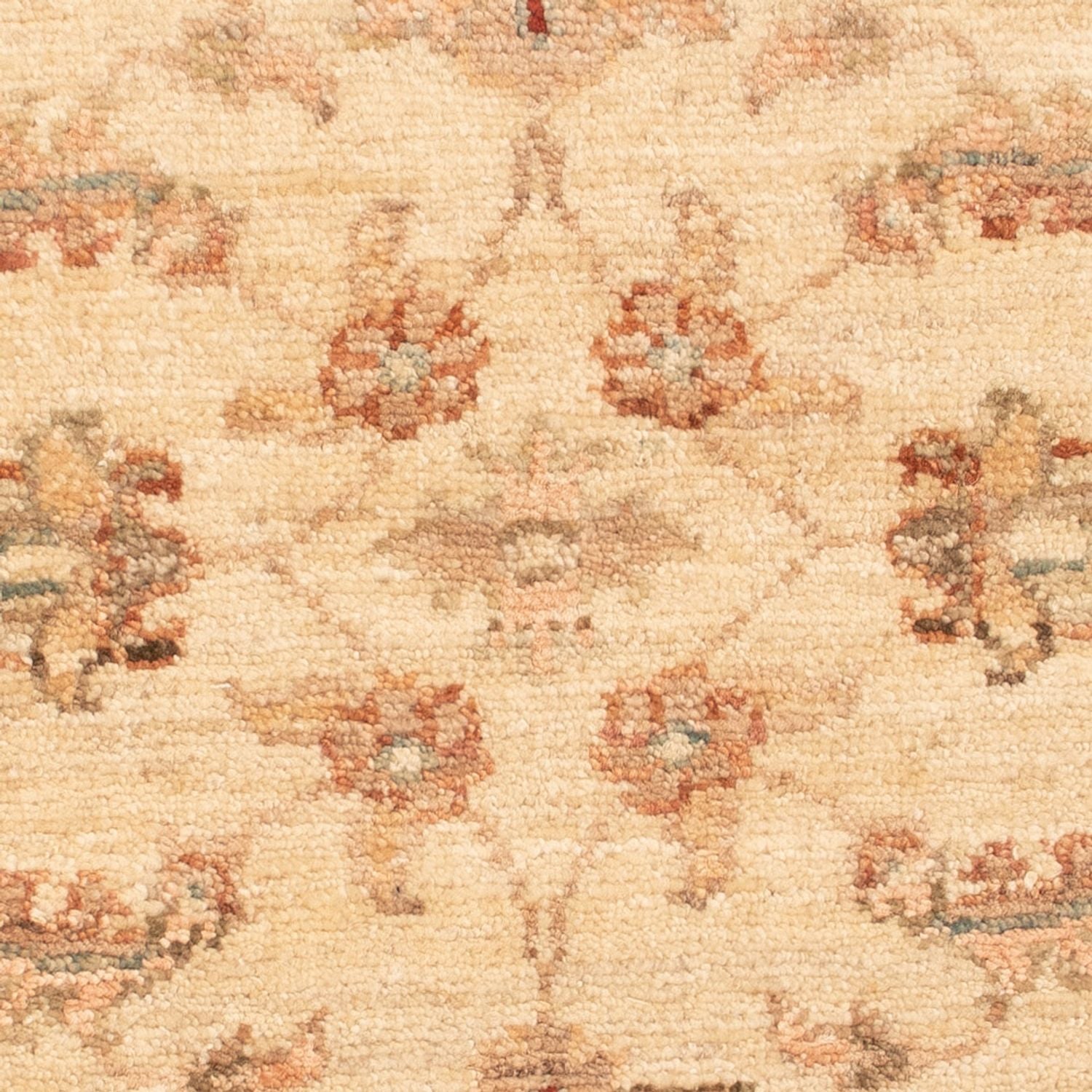 Tapis Ziegler - 64 x 50 cm - beige