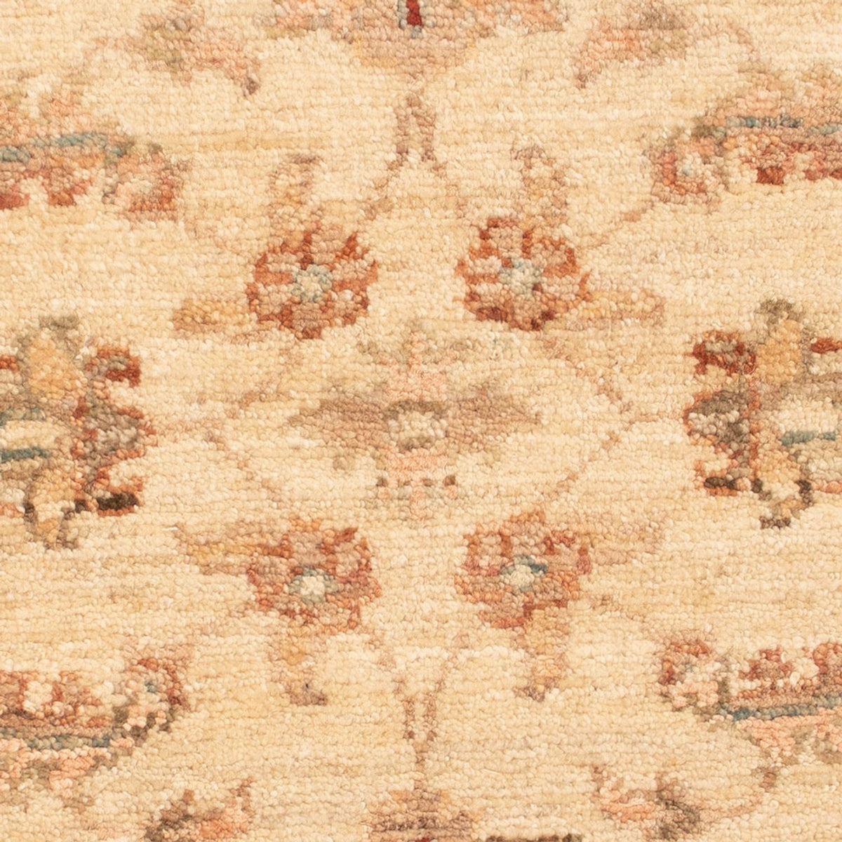 Tapis Ziegler - 64 x 50 cm - beige
