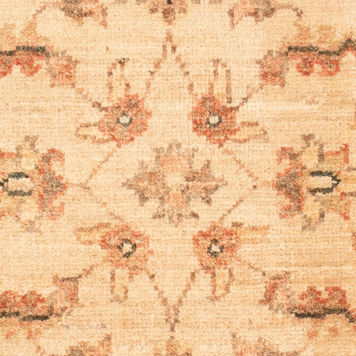 Tapis Ziegler - 70 x 50 cm - beige