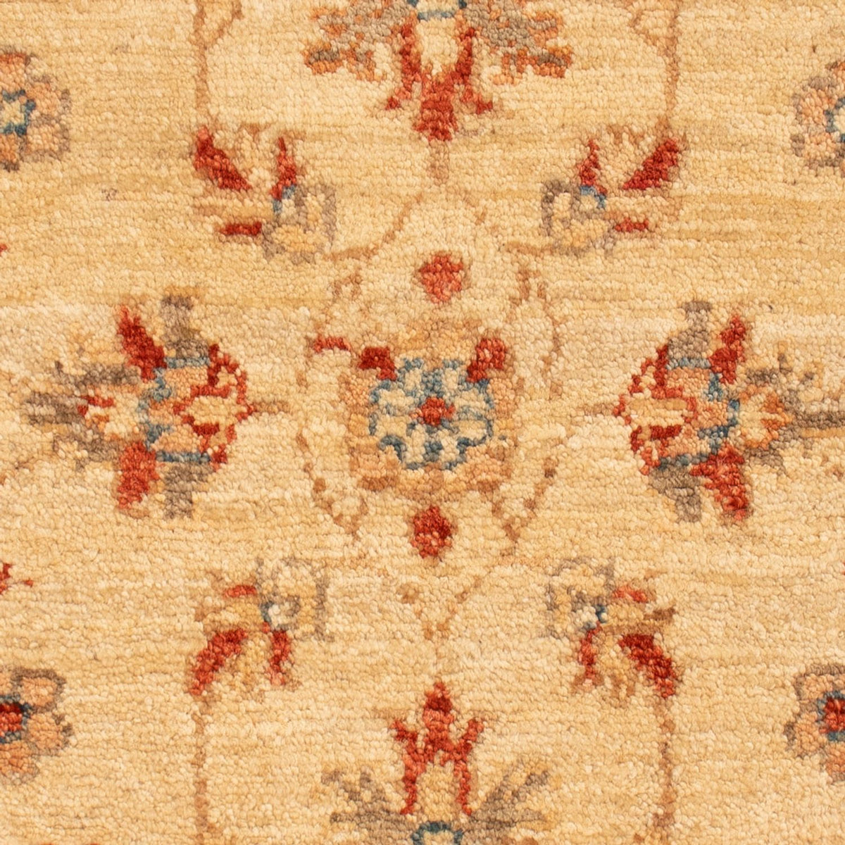 Tapis Ziegler - 68 x 54 cm - beige