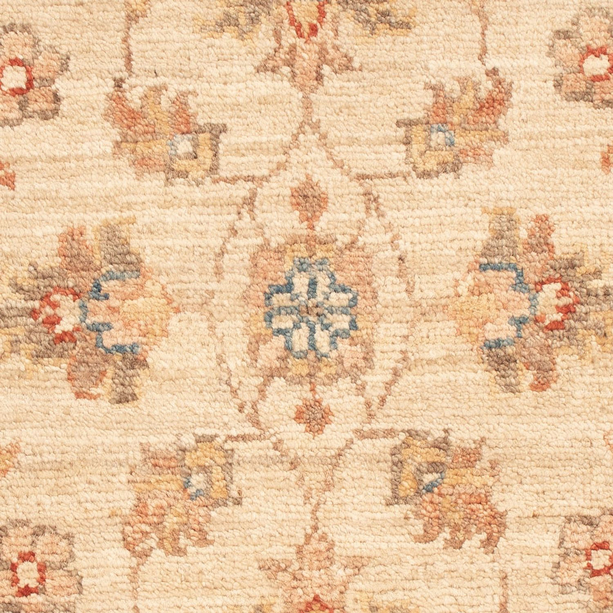 Tapis Ziegler - 70 x 52 cm - beige