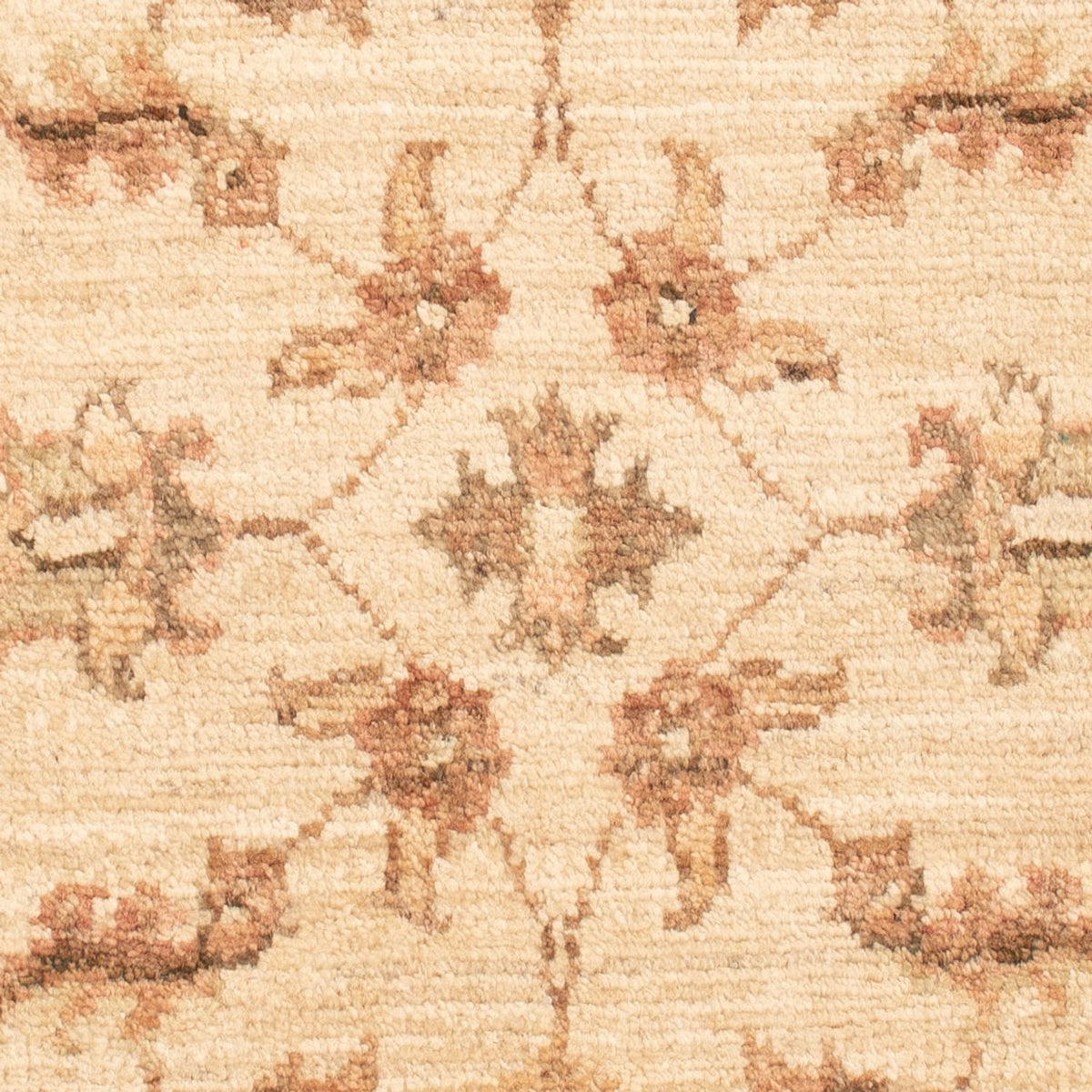 Tapis Ziegler - 72 x 51 cm - beige