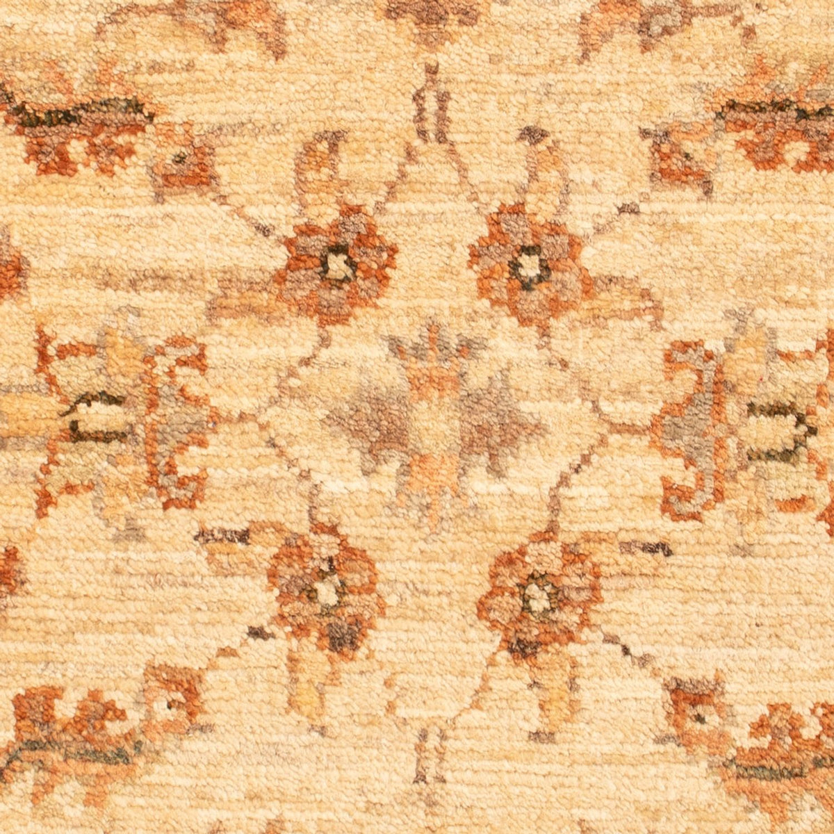 Tapis Ziegler - 70 x 53 cm - beige
