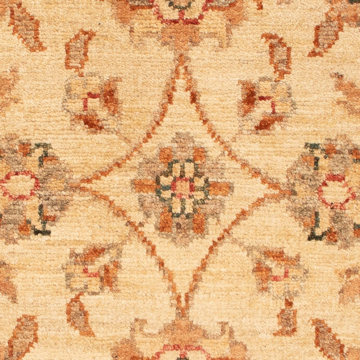 Tapis Ziegler - 72 x 53 cm - beige