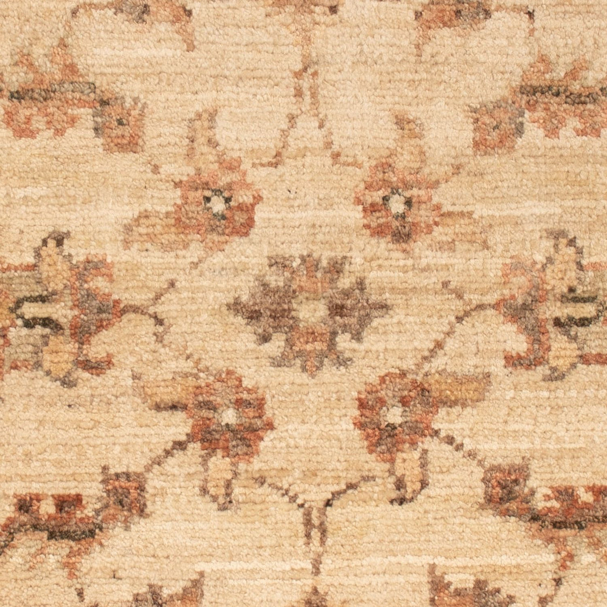 Tapis Ziegler - 72 x 50 cm - beige