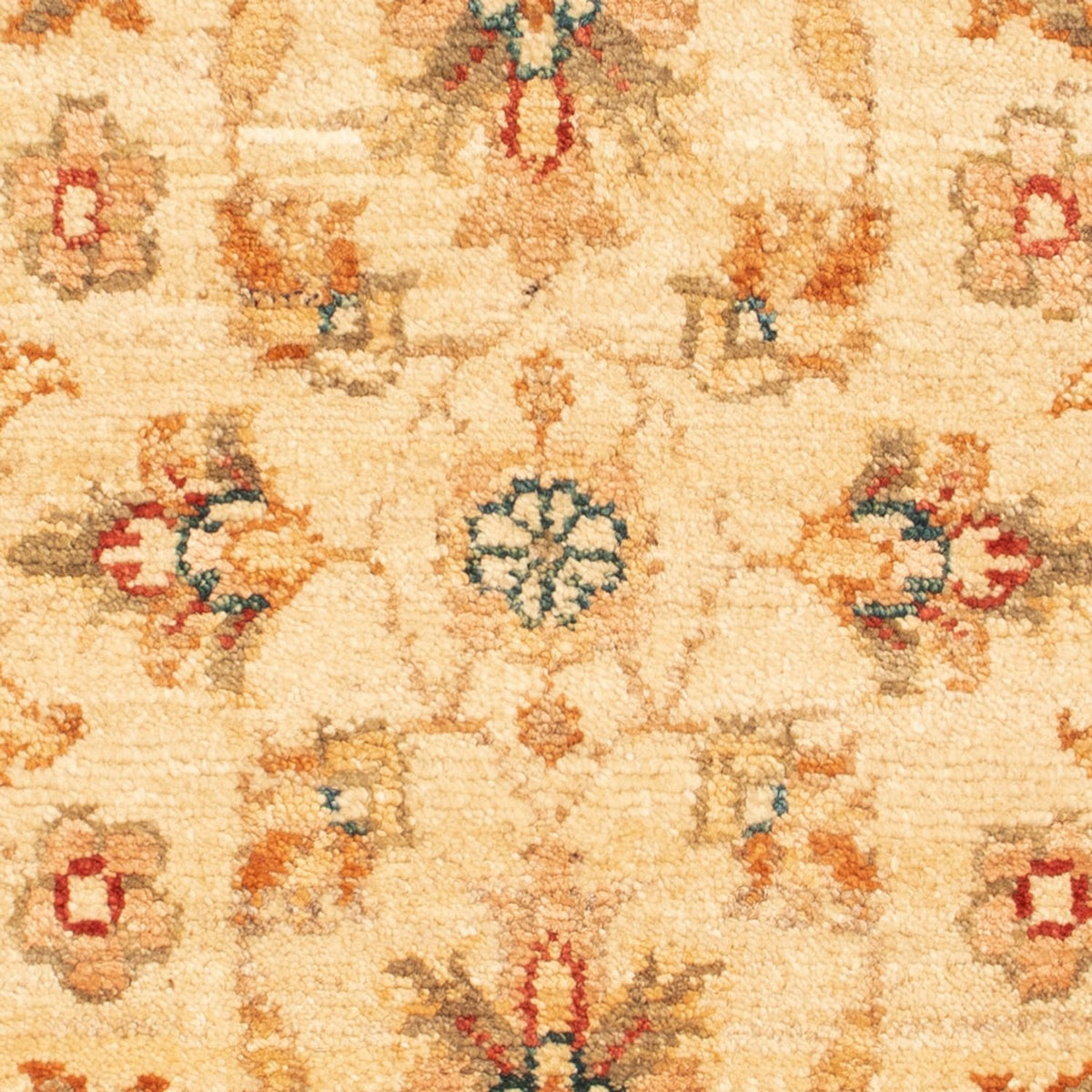 Tapis Ziegler - 70 x 48 cm - beige