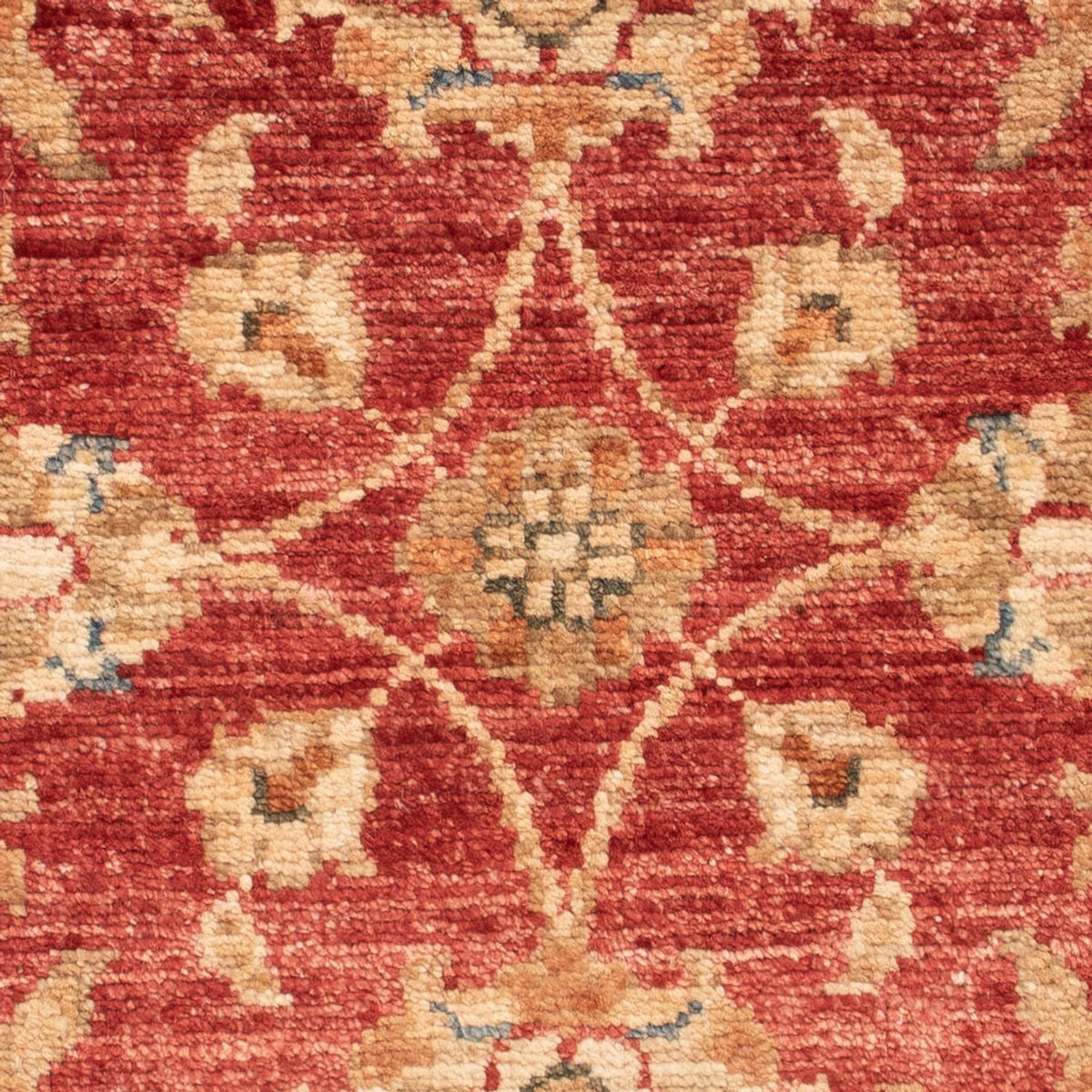 Tapis Ziegler - 70 x 53 cm - rouge