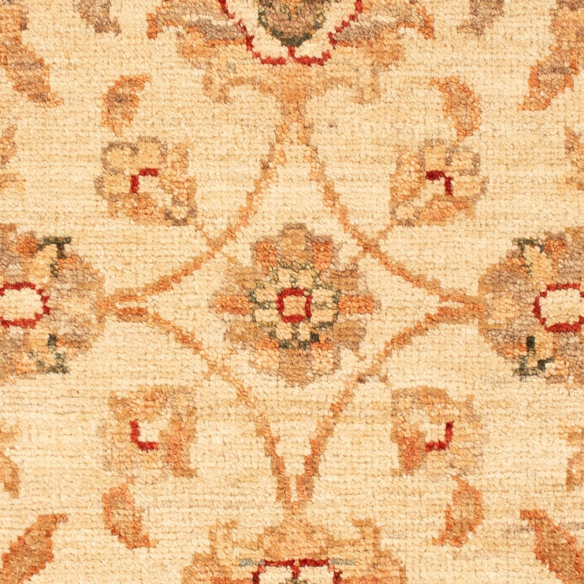 Tapis Ziegler - 72 x 55 cm - beige