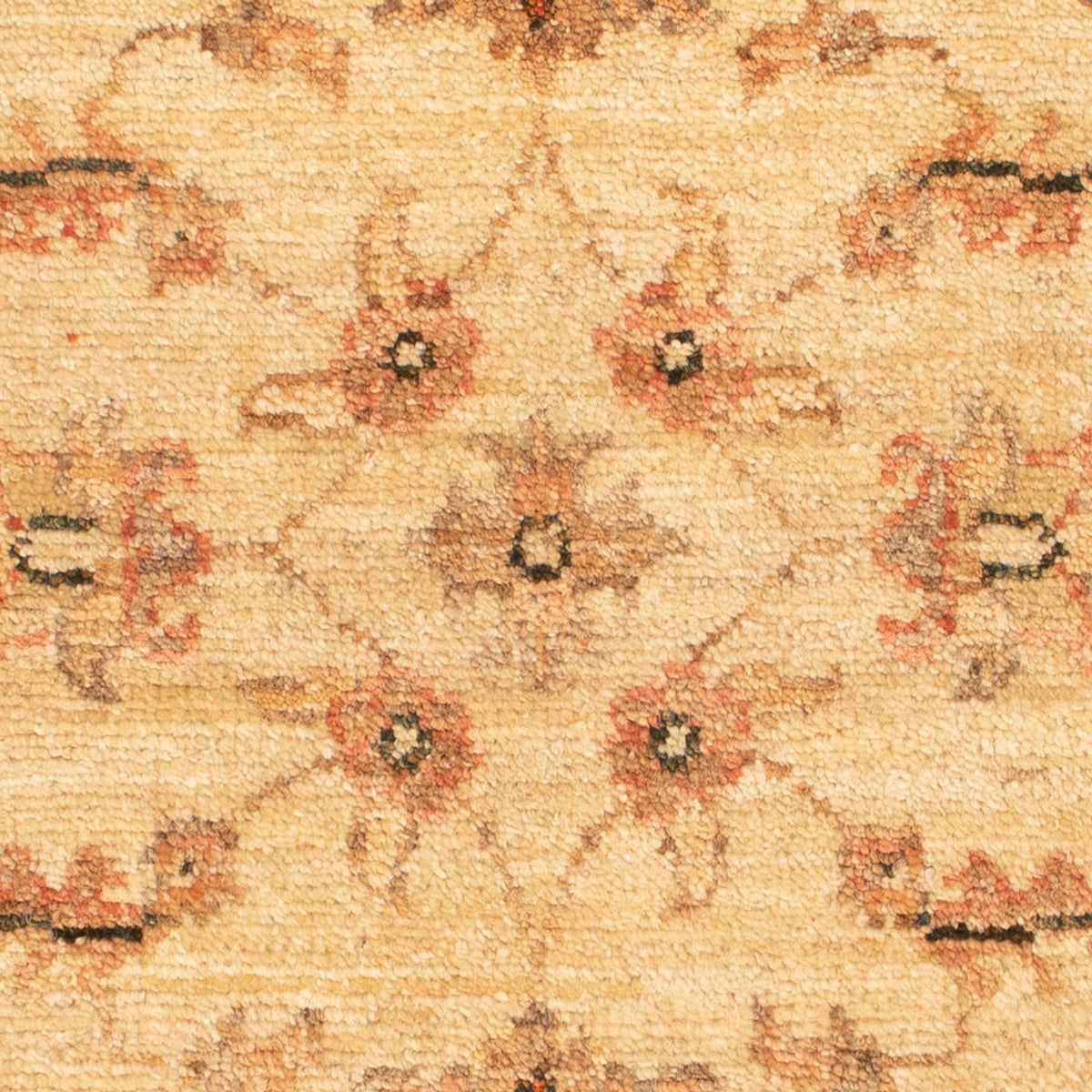 Tapis Ziegler - 69 x 53 cm - beige