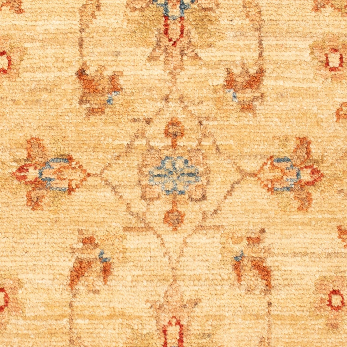 Tapis Ziegler - 76 x 54 cm - beige