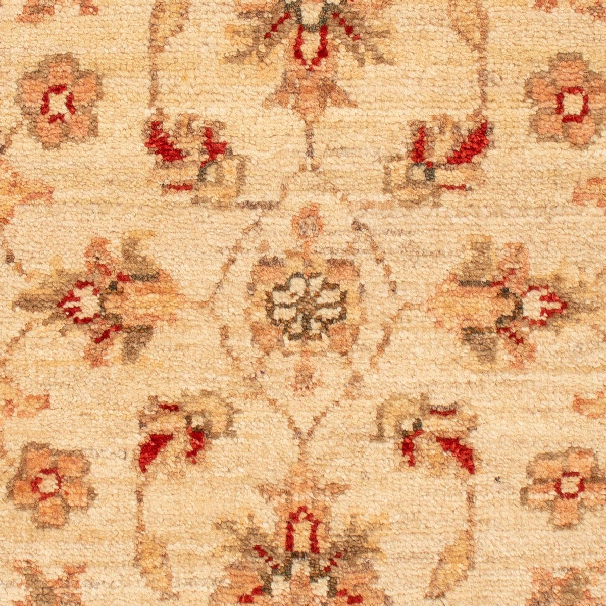 Tapis Ziegler - 70 x 50 cm - beige
