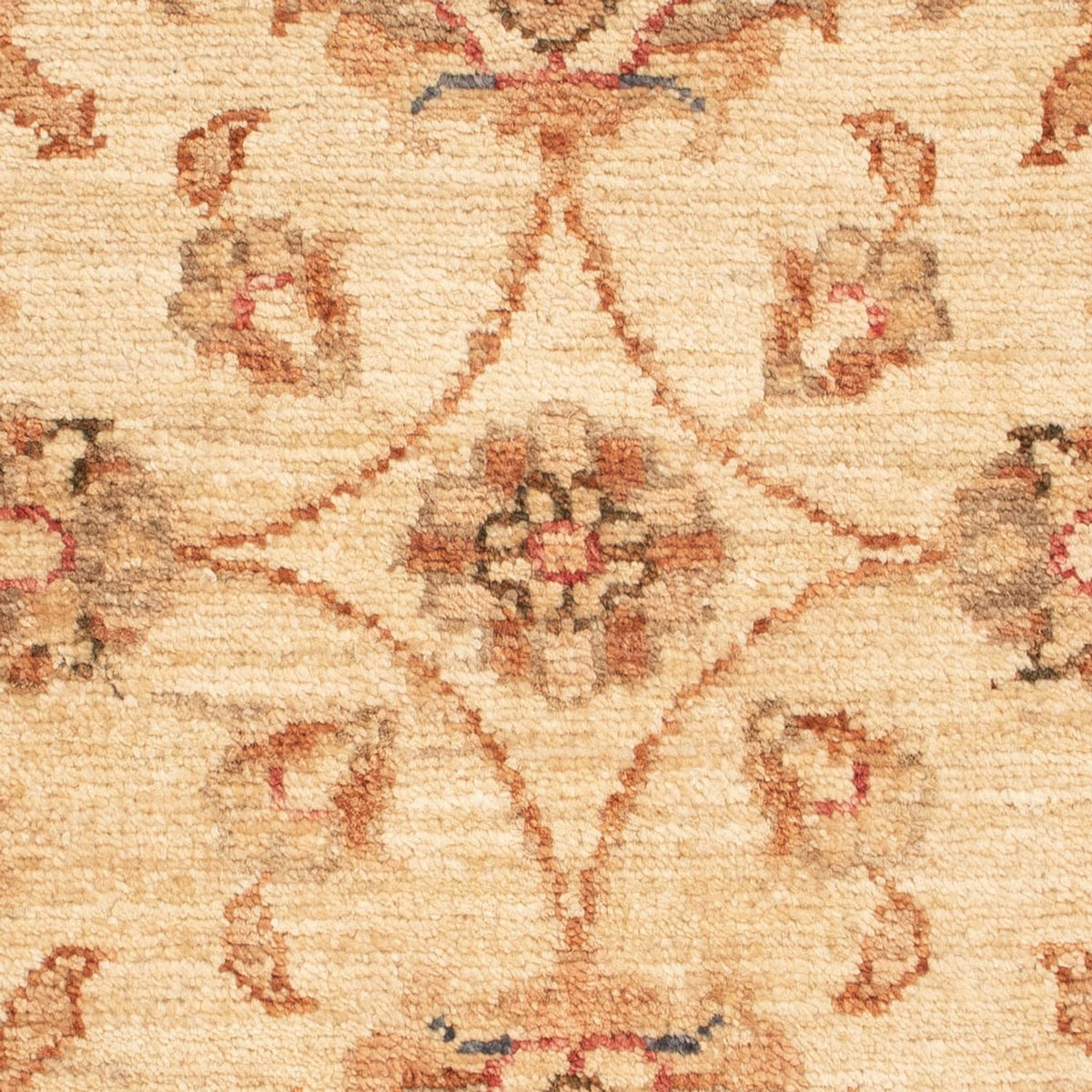 Tapis Ziegler - 67 x 52 cm - beige