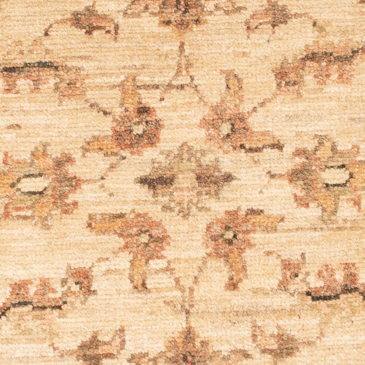 Tapis Ziegler - 71 x 49 cm - beige