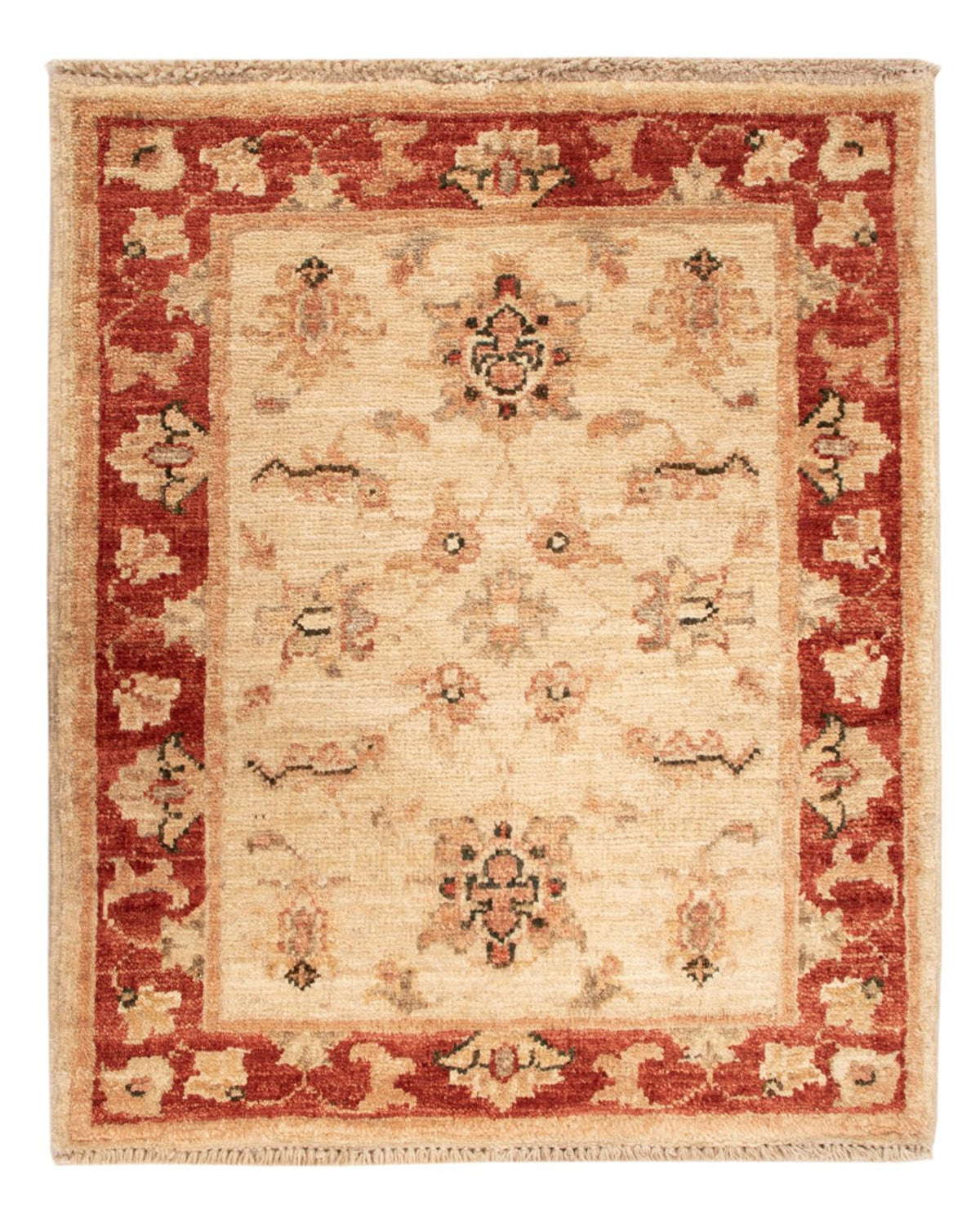 Tapis Ziegler - 62 x 52 cm - beige