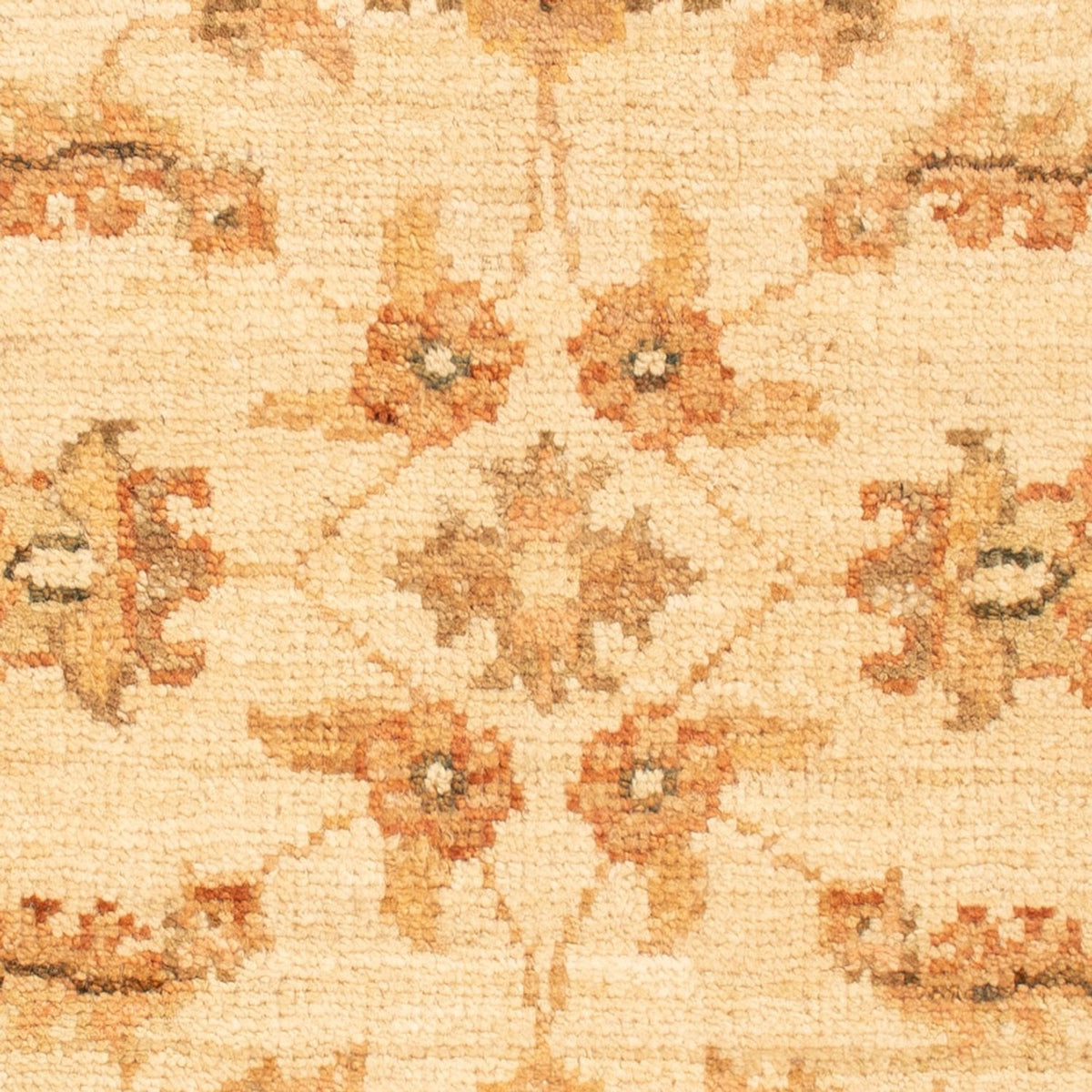 Tapis Ziegler - 66 x 51 cm - beige