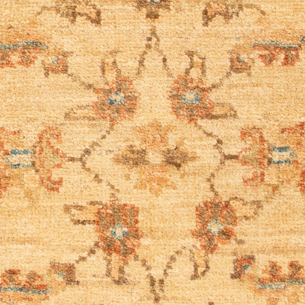 Tapis Ziegler - 70 x 50 cm - beige