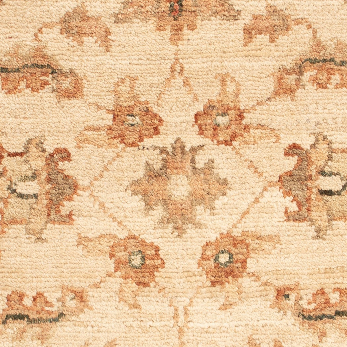 Tapis Ziegler - 69 x 49 cm - beige