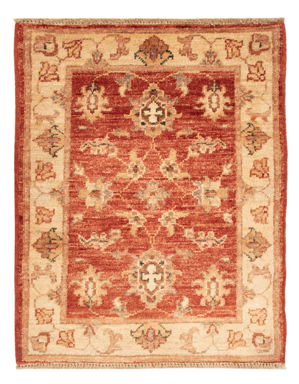 Tapis Ziegler - 70 x 53 cm - rouge