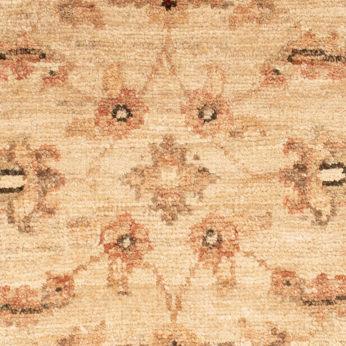 Tapis Ziegler - 62 x 50 cm - beige