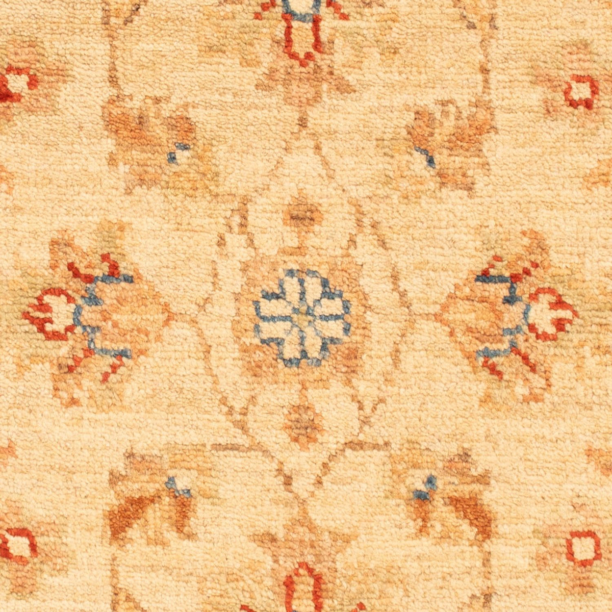 Tapis Ziegler - 73 x 50 cm - beige