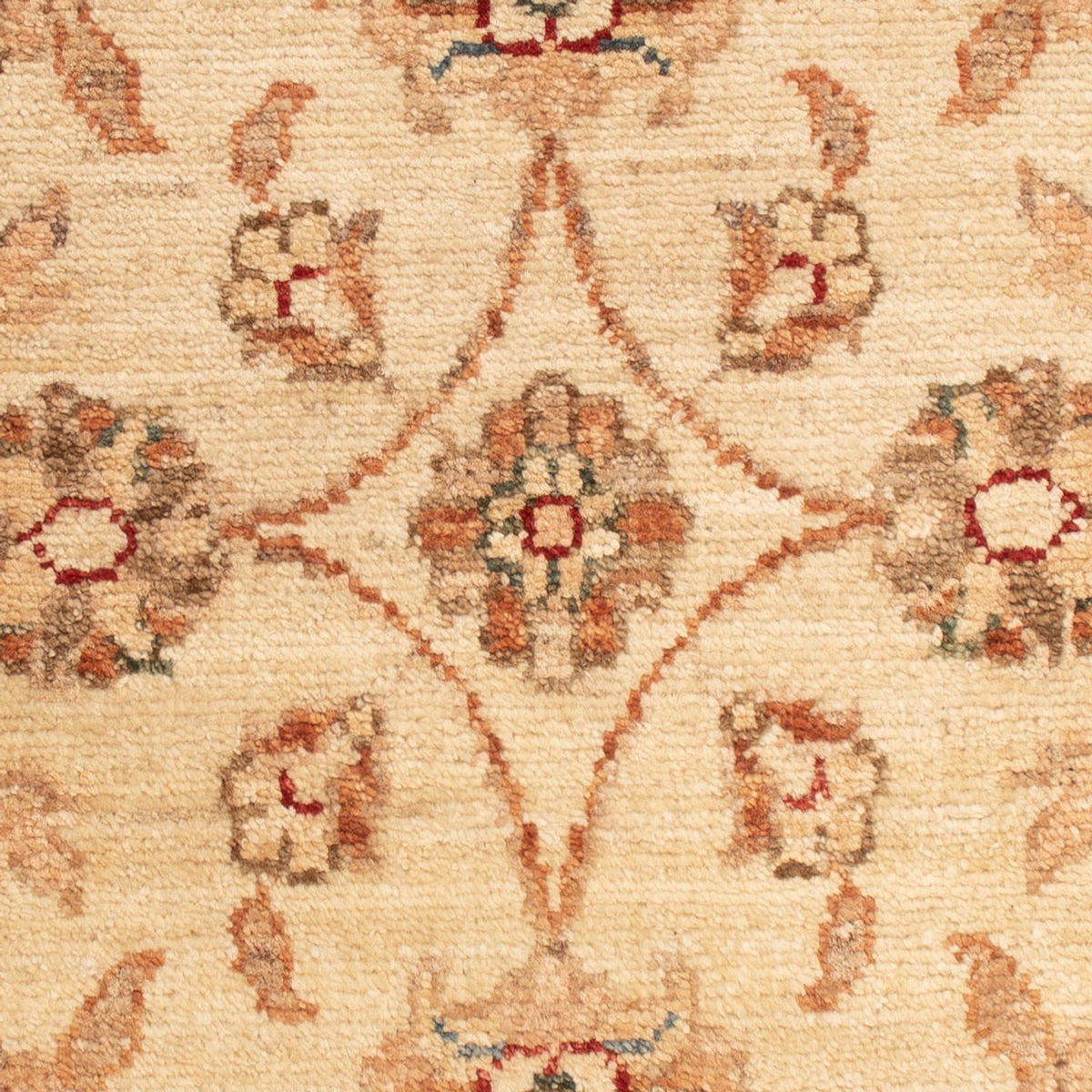 Tapis Ziegler - 70 x 47 cm - beige