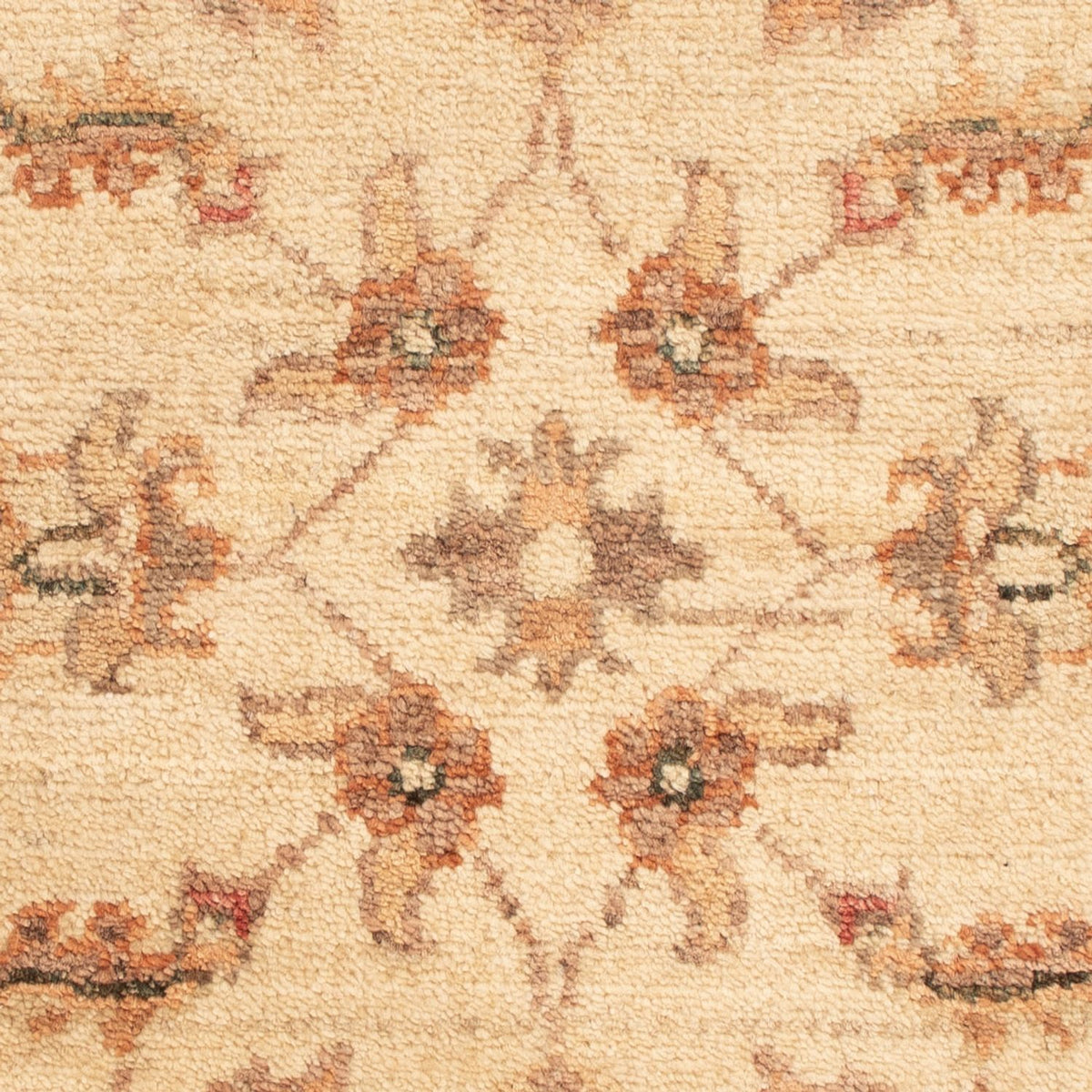 Tapis Ziegler - 69 x 50 cm - beige
