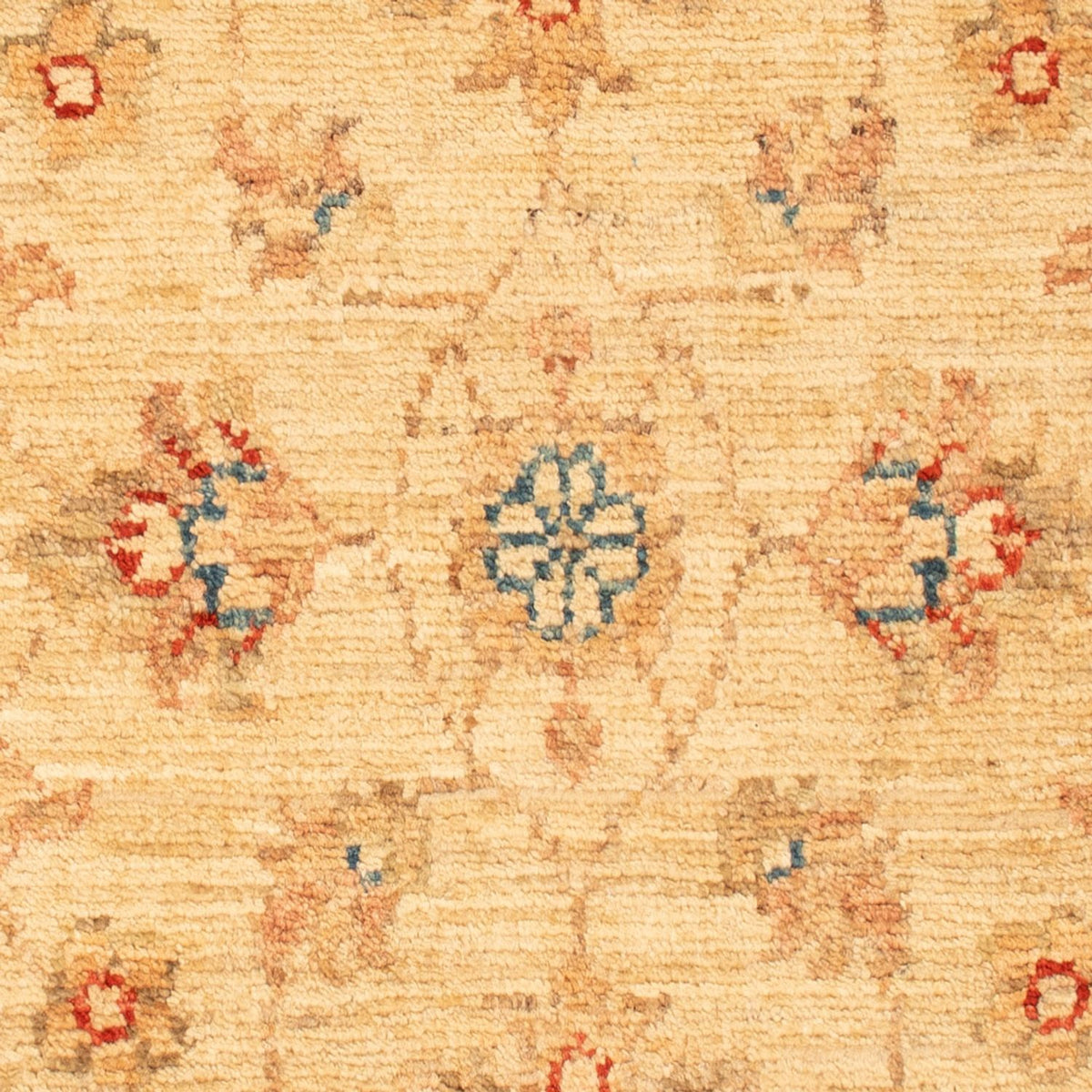 Tapis Ziegler - 78 x 52 cm - beige