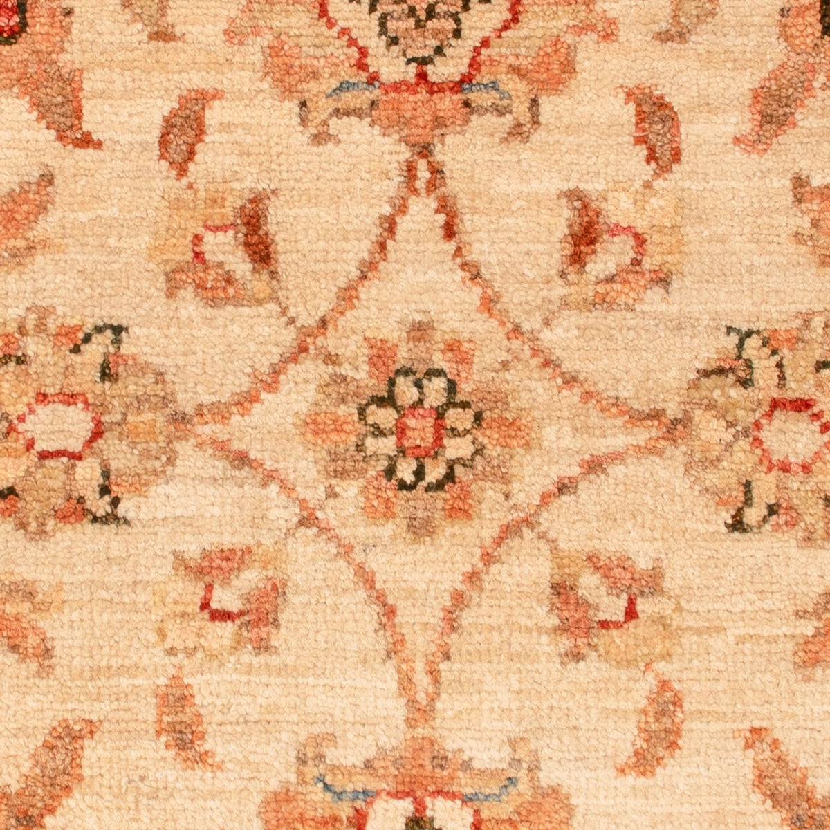 Tapis Ziegler - 70 x 53 cm - beige