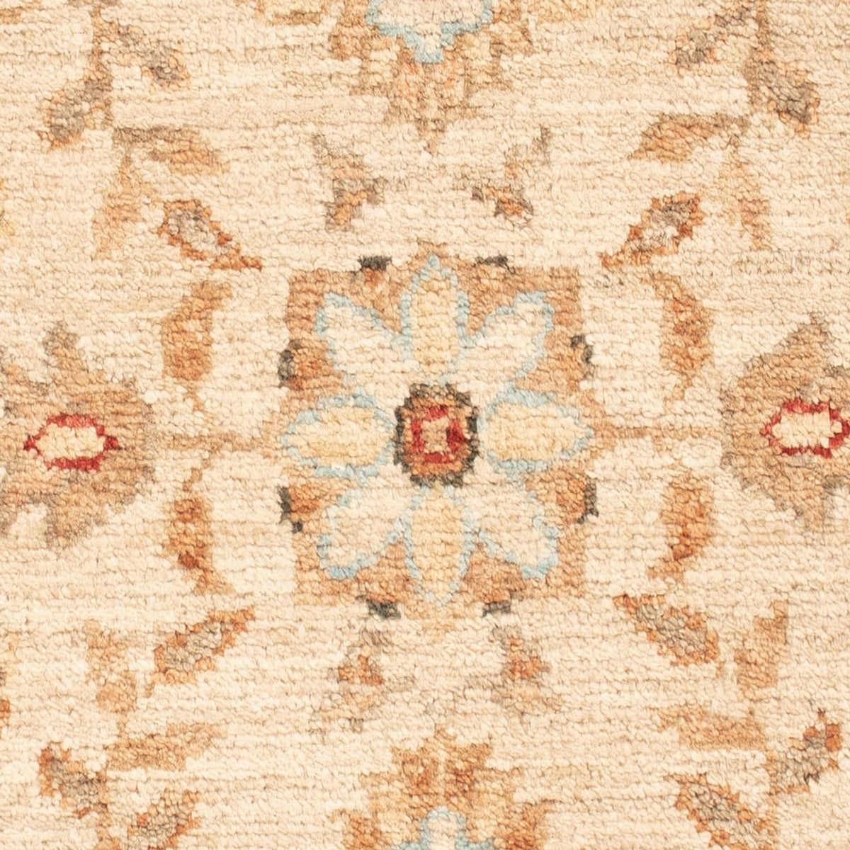 Tapis Ziegler - 70 x 53 cm - beige