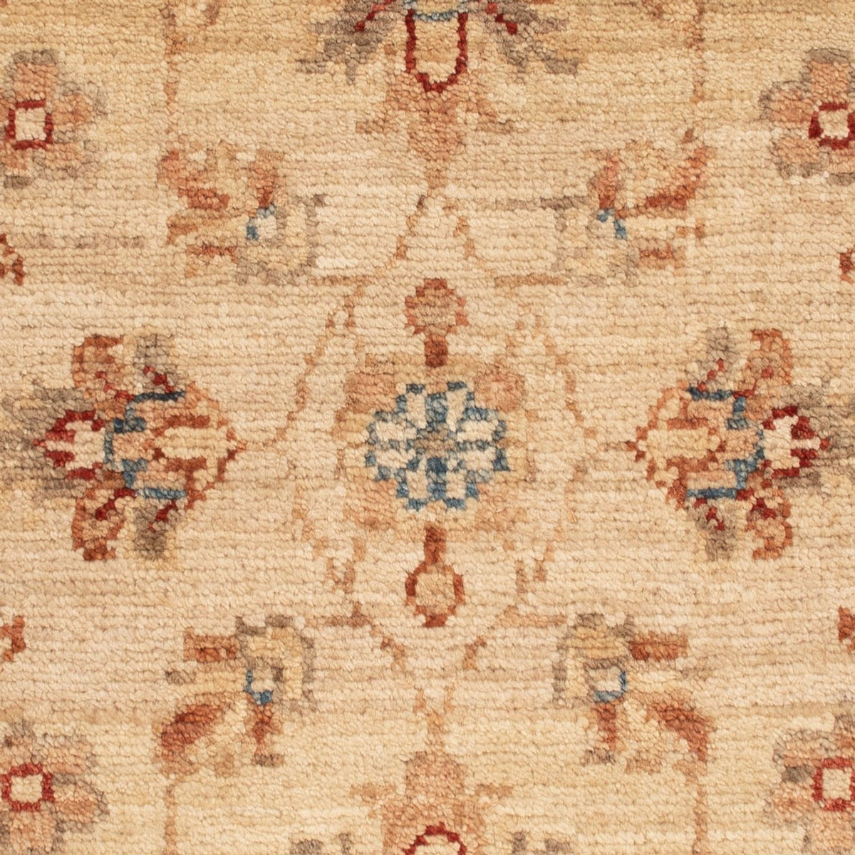 Tapis Ziegler - 69 x 55 cm - beige