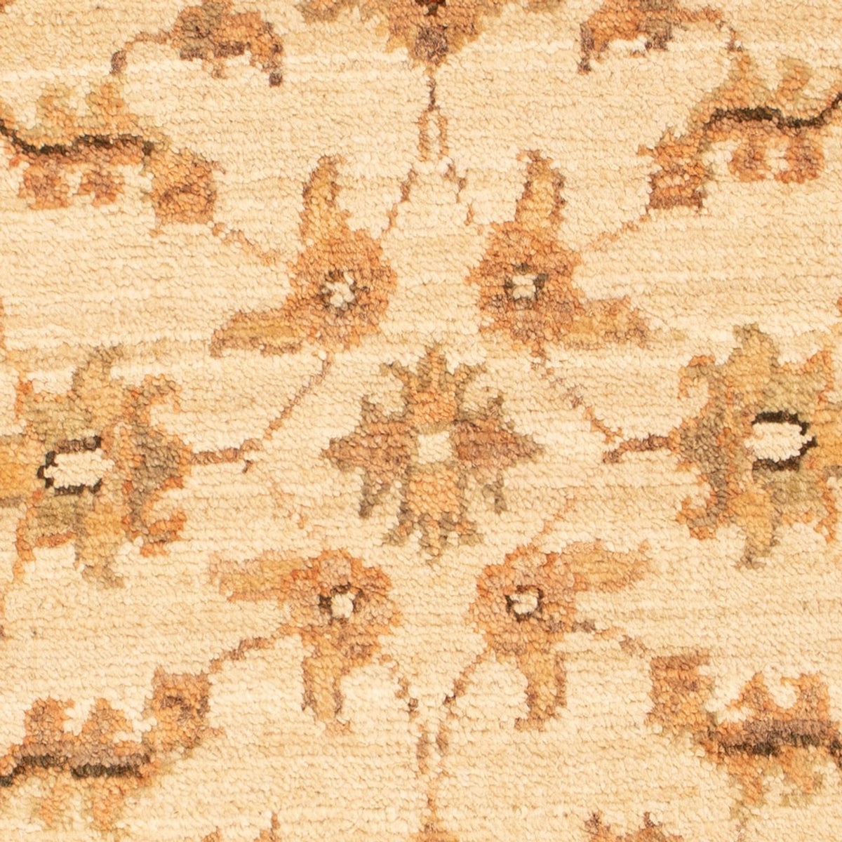 Tapis Ziegler - 70 x 50 cm - beige